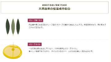 薬用美白乳液 日本オリーブ 医薬部外品 シミ そばかす 保湿 美白ケア なめらか肌への画像