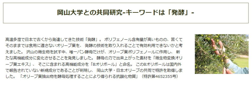 日本オリーブ エスペランサ エマルシオン しっとりなめらかの画像