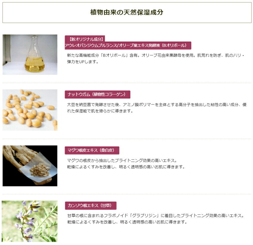 日本オリーブ ソレアードエッセンス 潤い ハリ ツヤ 保湿の画像