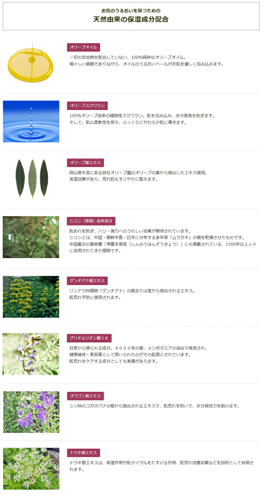 うるおいフレッシュミルク シコン入りの洗顔料の画像
