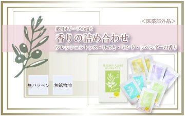 バスギフト 5種セット 入浴剤 ボディソープ ヘアシャンプー ヘアリンス せっけんの画像