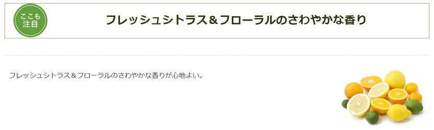 ナチュラルマインド　ボディーシャンプーの画像