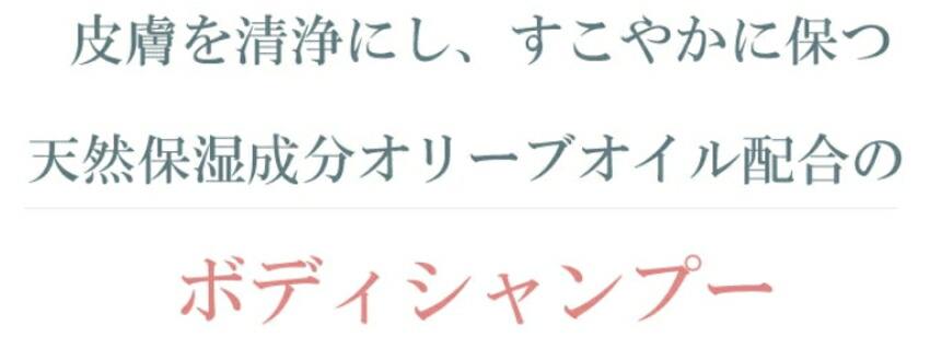 【詰替用】ナチュラルマインド　ボディーシャンプーの画像