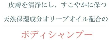 【詰替用】ナチュラルマインド　ボディーシャンプーの画像