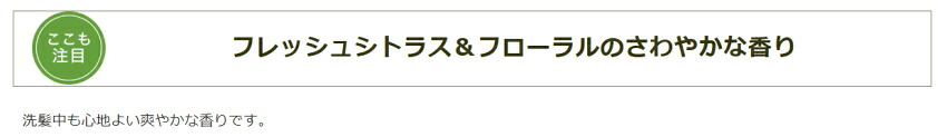 【詰替用】ナチュラルマインド　シャンプーの画像