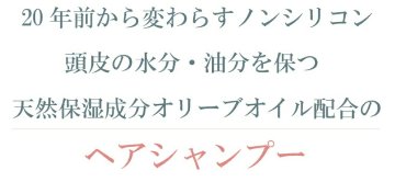 オリーブバス体験セット オリーブの湯4種 ボディ＆ヘアケア付の画像