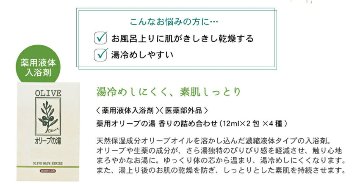 オリーブバス体験セット オリーブの湯4種 ボディ＆ヘアケア付の画像