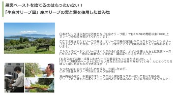 減塩しながら美味しく健康に 国産オリーブの実と葉入り、風味豊かな瀬戸内の旨み塩の画像