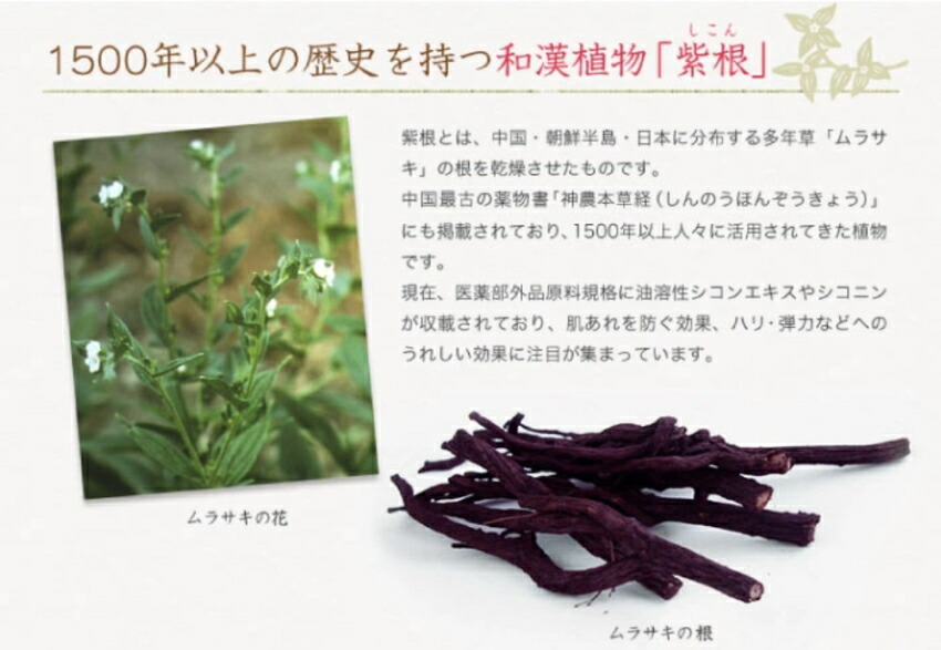 ベルゼエリートM 日本オリーブ 医薬部外品 皮膚トラブル ケア 皮膚保護クリーム 紫雲膏タイプ メール便対応 1点までの画像
