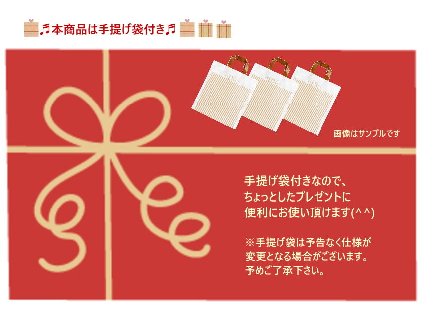 撥水バッグ 撥水コートバッグ トートバッグ  ファスナー付き 雨の日も安心 お道具袋 レッスンバッグ ピアノ教室 発表会景品の画像
