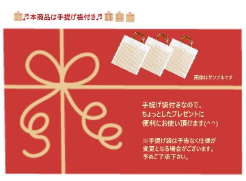 撥水バッグ 撥水コートバッグ トートバッグ  ファスナー付き 雨の日も安心 お道具袋 レッスンバッグ ピアノ教室 発表会景品の画像