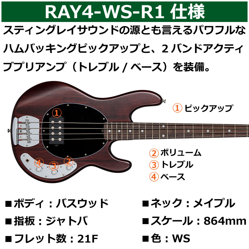 Sterling by MUSIC MAN エレキベース Ray4 Walnut Satin スティングレイの画像