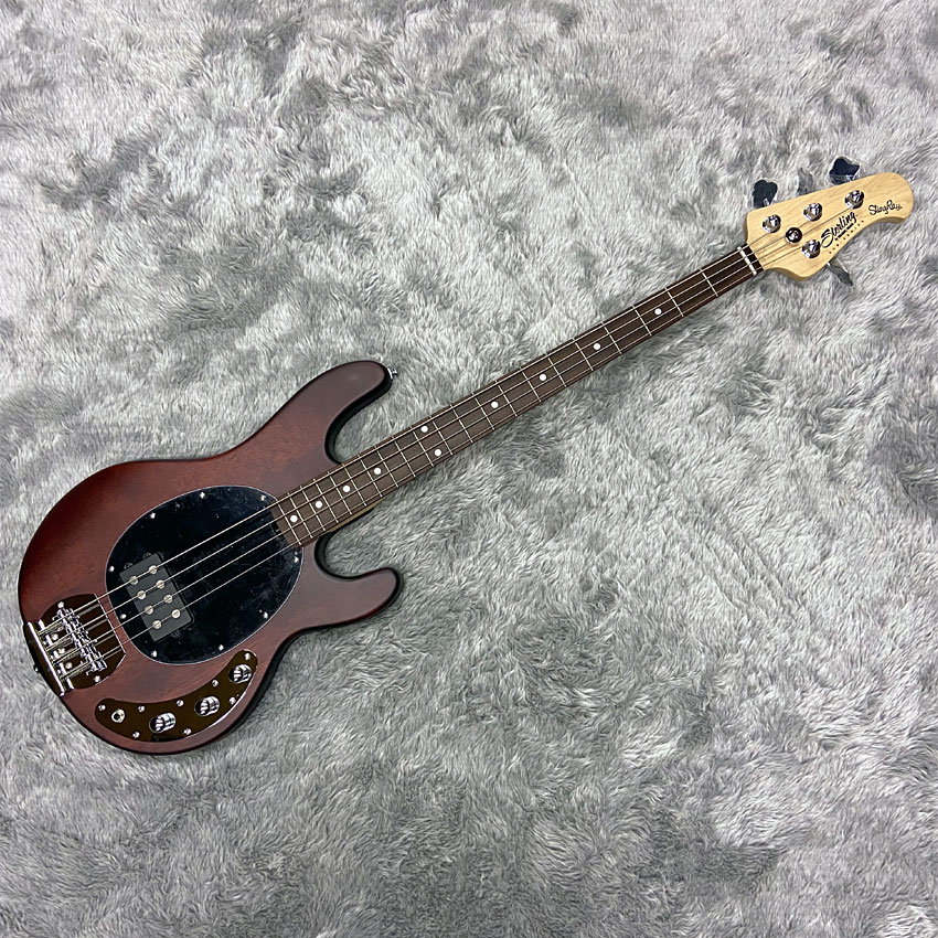 Sterling by MUSIC MAN エレキベース Ray4 Walnut Satin スティングレイの画像