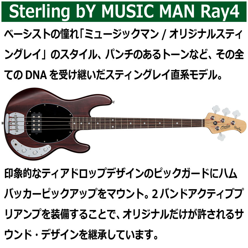 Sterling by MUSIC MAN エレキベース Ray4 Walnut Satin スティングレイの画像