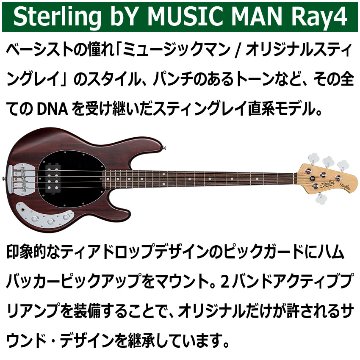 Sterling by MUSIC MAN エレキベース Ray4 Walnut Satin スティングレイの画像
