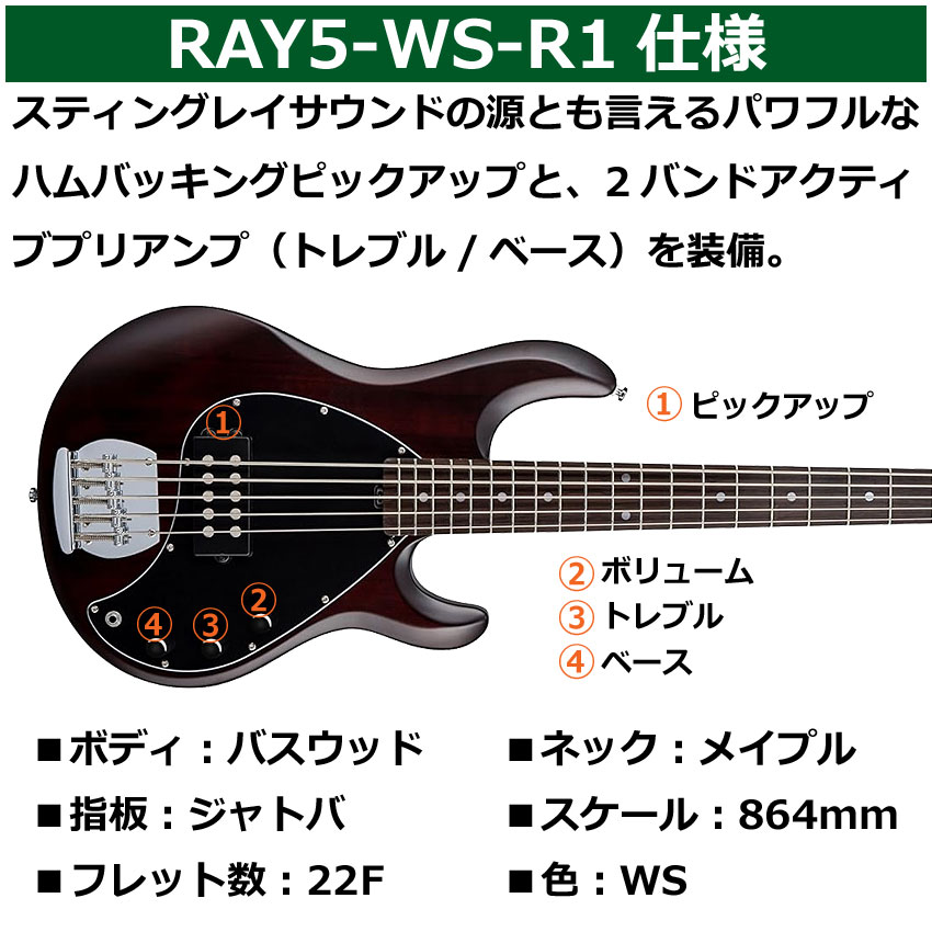 Sterling by MUSIC MAN エレキベース Ray5 Walnut Satin 5弦ベース スティングレイ スターリンの画像