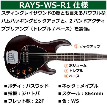 Sterling by MUSIC MAN エレキベース Ray5 Walnut Satin 5弦ベース スティングレイ スターリンの画像