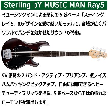 Sterling by MUSIC MAN エレキベース Ray5 Walnut Satin 5弦ベース スティングレイ スターリンの画像