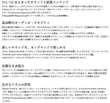 Roland 音源モジュール V31 Drum Sound Module ローランドの画像