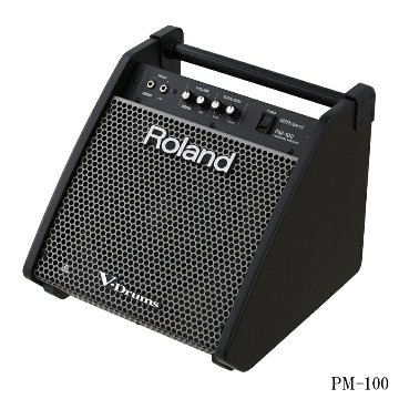 Roland PM-100 Personal Monitor ローランド パーソナルモニタースピーカー エレドラの画像