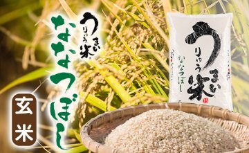 令和5年産　うりゅう米　ななつぼし(玄米）５ｋｇ画像