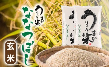 令和5年産　うりゅう米　ななつぼし(玄米）１０ｋｇ画像