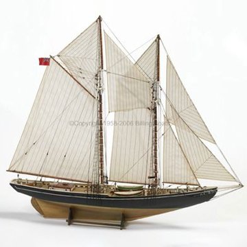 ブルーノーズの画像