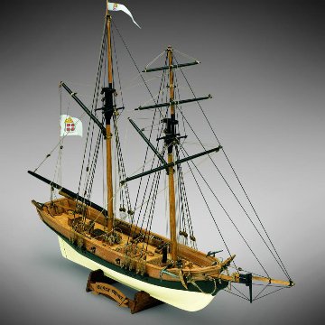 ブラックプリンスの画像