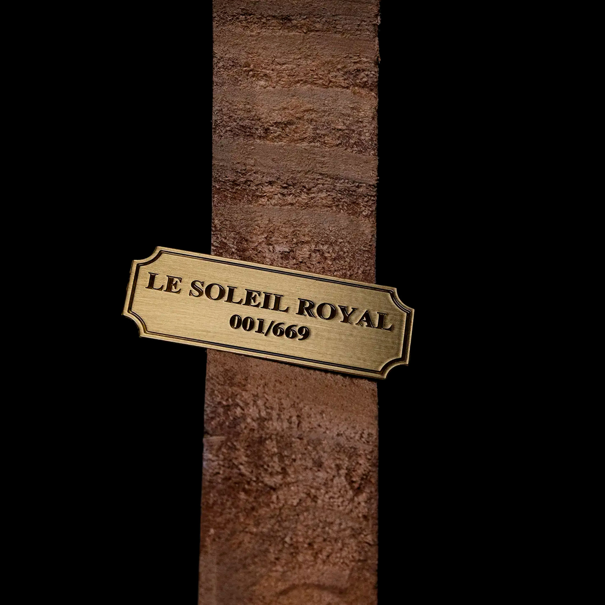 ソレイユ　ロワイヤル(構造模型キット)の画像