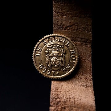 ソレイユ　ロワイヤル(構造模型キット)の画像