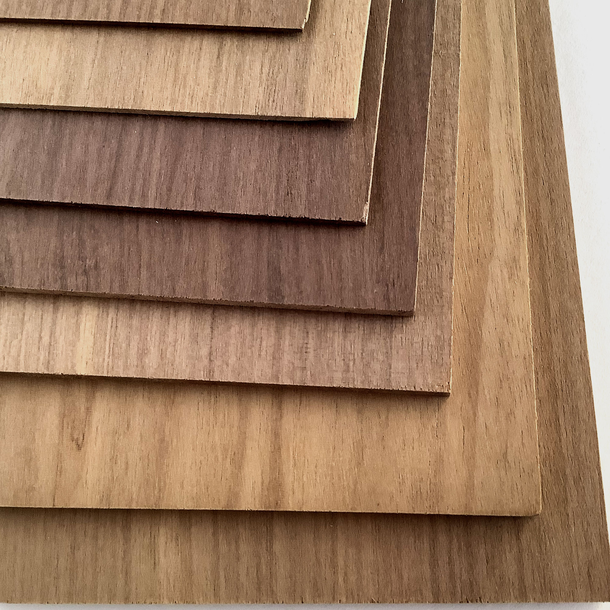 アフリカンブラックウォールナットシート（幅100ｍｍ×長さ500ｍｍ）の画像