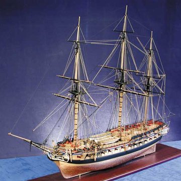 ダイアナの画像