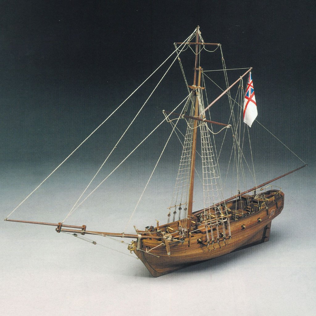 シャークの画像