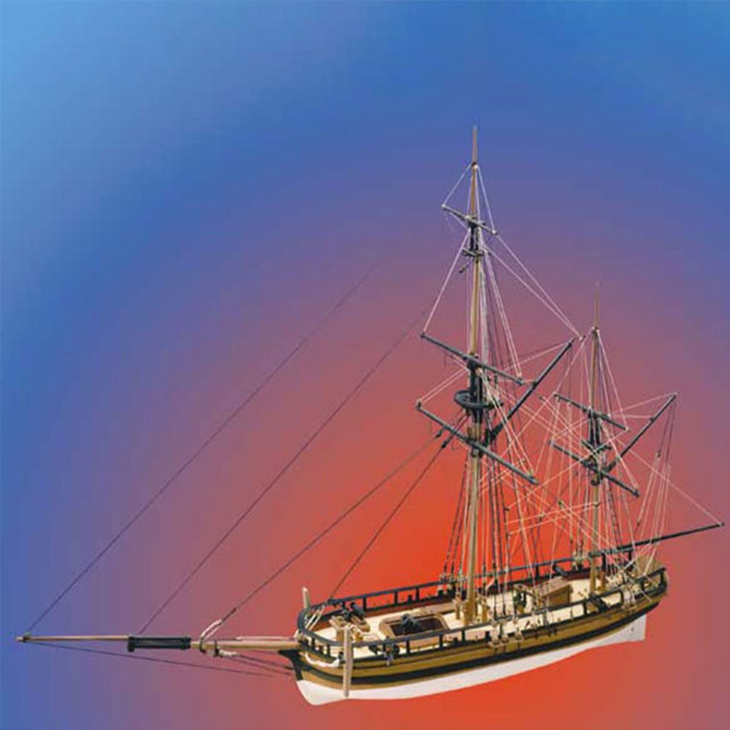 コンバルジョンの画像