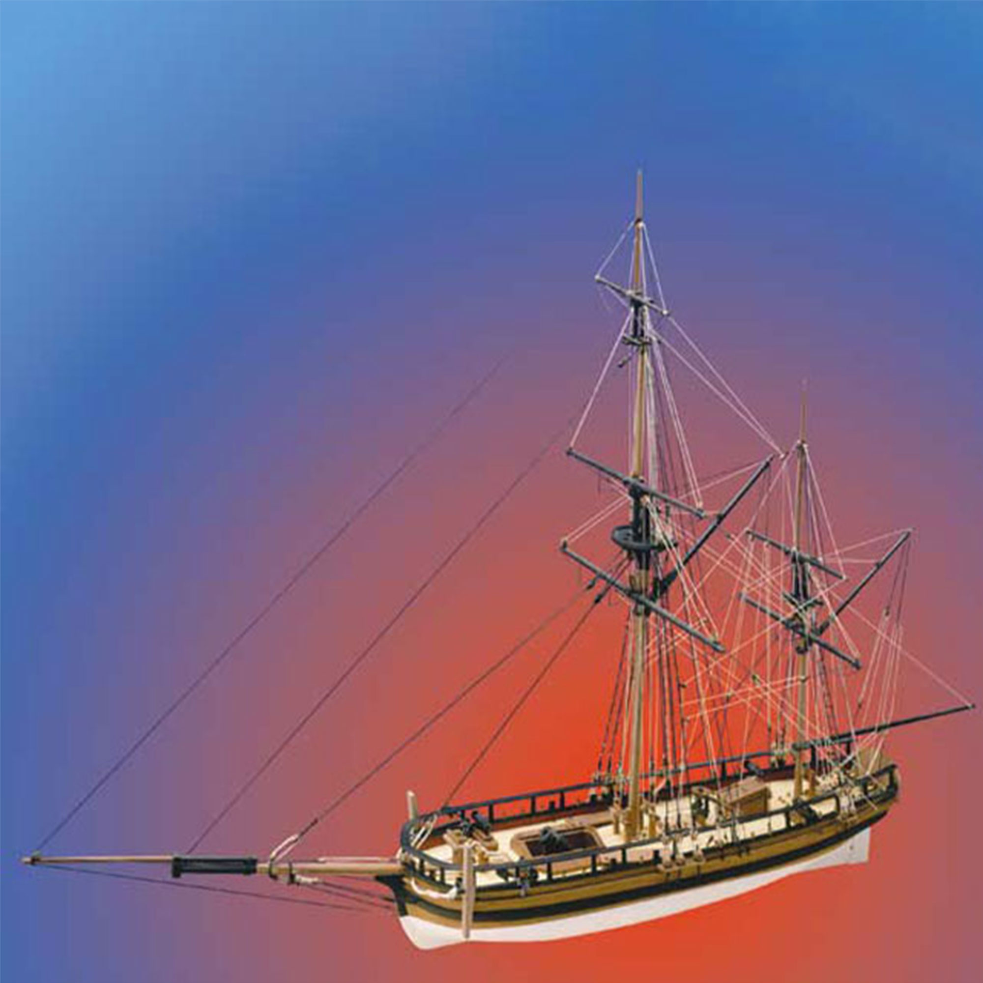 コンバルジョンの画像