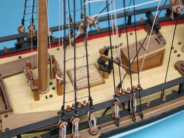 コンバルジョンの画像