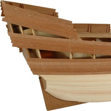 ゴールデンハインド1/50の画像