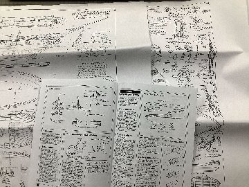 ラトルスネークの画像