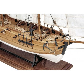 アドヴェンチャーの画像