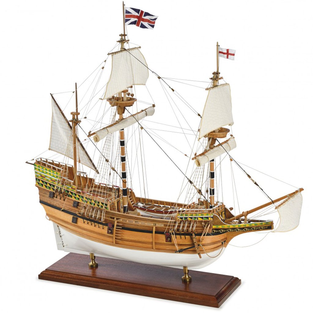 メイフラワーの画像