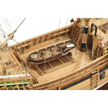 メイフラワーの画像