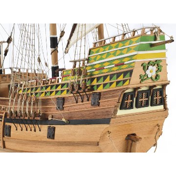 メイフラワーの画像