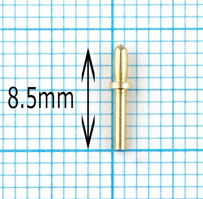 ウッディ—ジョー　ビレイピンの画像