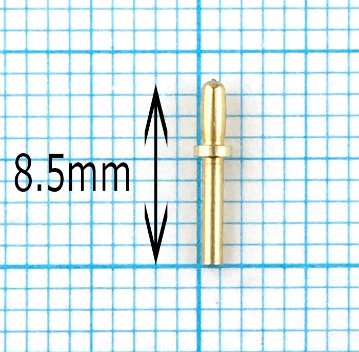 ウッディ—ジョー　ビレイピンの画像