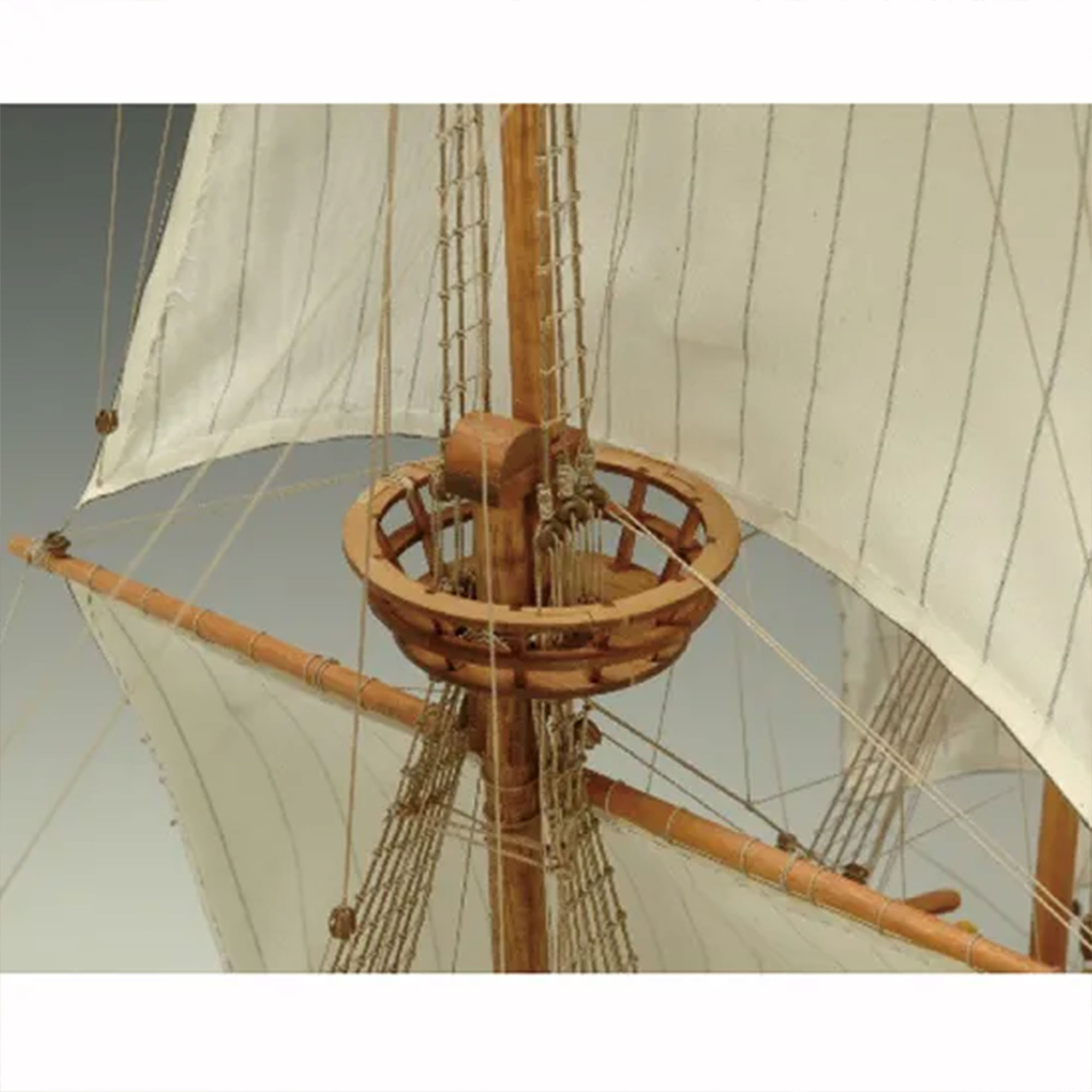 ハーフムーン1/40の画像