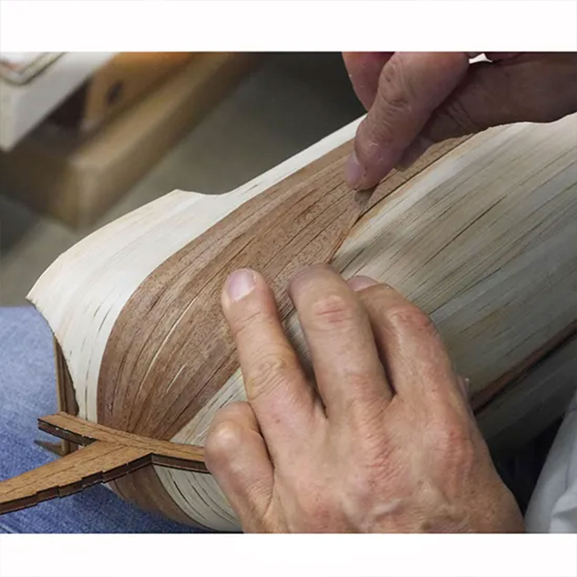 ハーフムーン1/40の画像