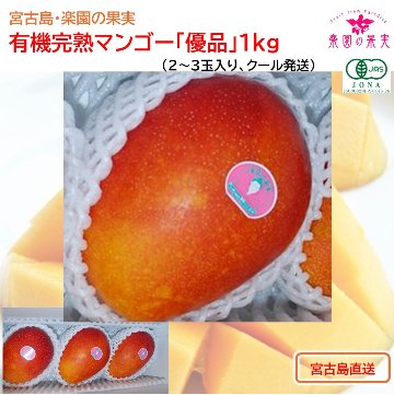 宮古島 有機完熟マンゴー「優品」１kg （2～3玉、送料込）楽園の果実の有機栽培高級マンゴーの画像