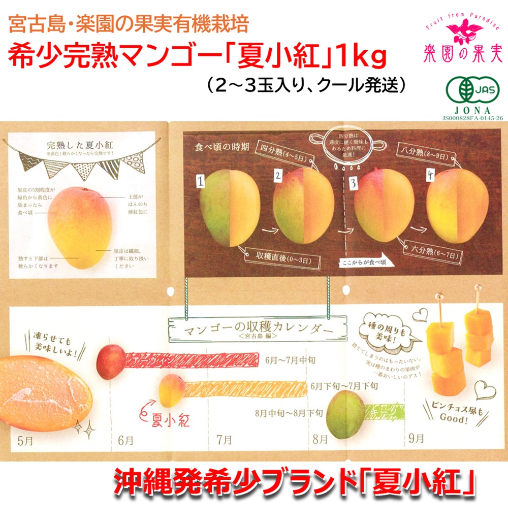 宮古島 有機完熟マンゴー「夏小紅」１kg （2～3玉、送料込）楽園の果実の有機栽培高級マンゴーの画像