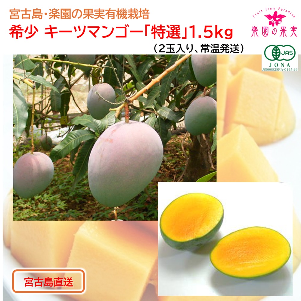 宮古島 有機キーツマンゴー１.５kg （2玉、送料込）楽園の果実の有機栽培高級マンゴーの画像