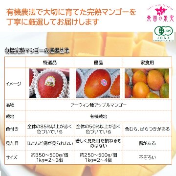 宮古島 有機キーツマンゴー１.５kg （2玉、送料込）楽園の果実の有機栽培高級マンゴーの画像